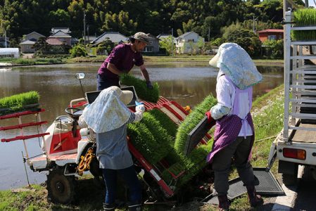03_150502　山﨑真利　田植え-(45)_2